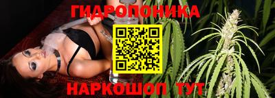 PSILOCYBIN Заволжье