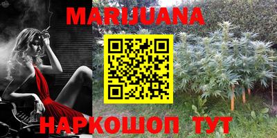PSILOCYBIN Заволжье