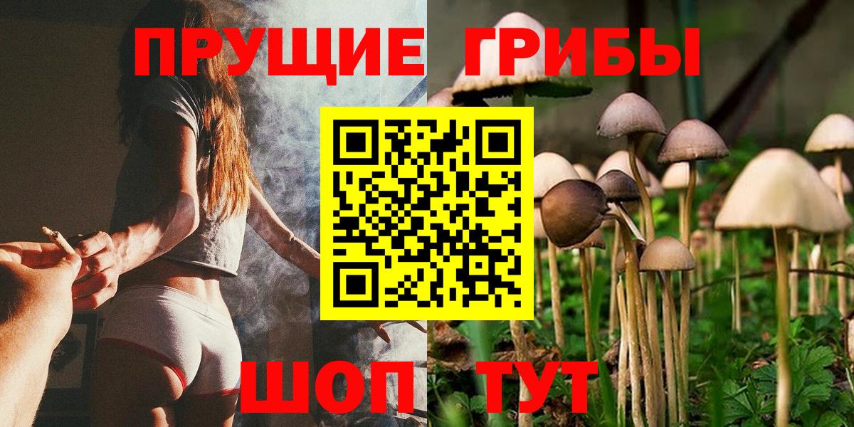 Галлюциногенные грибы MAGIC MUSHROOMS Донской