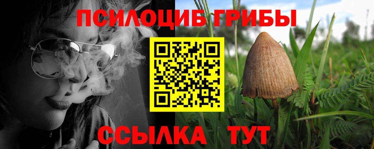 Галлюциногенные грибы Cubensis  наркота  Донской  Вход с VPN 